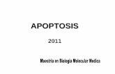 Teorica Apoptosis 2011.ppt [Sólo lectura]