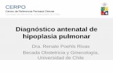 Diagnóstico antenatal de hipoplasia pulmonar