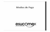 Medios de Pago - Instituto Profesional Esucomex