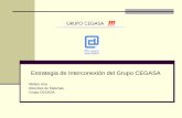 Estrategia de Interconexión del Grupo CEGASA
