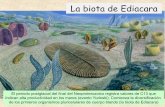 La biota de Ediacara - aragosaurus.com | Grupo de ...