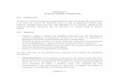 CAPÍTULO X PLAN DE CIERRE CONCEPTUAL 10.1 Introducción