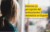 Informe La percepción del autoconsumo doméstico en España