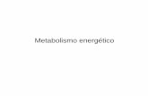 Metabolismo energético - UNR