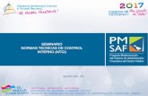 SEMINARIO NORMAS TECNICAS DE CONTROL INTERNO (NTCI)