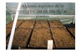 Algunos aspectos de la conservación ex situ de las plantas