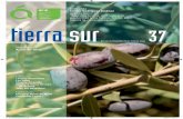 37 - Revista Tierra Sur
