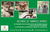 HISTORIAS DE ANIMALES DIVINOS