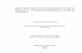 ANALISIS JURISPRUDENCIAL DE LAS SENTENCIAS 005001-23-33 ...