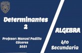 Determinantes 2 ALGEBRA - prolog.ams3.digitaloceanspaces.com