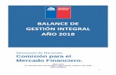 BALANCE DE GESTIÓN INTEGRAL AÑO 2018 - Comisión para el ...