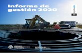 Informe de Gestión 2020 SIP Informe de gestión 2020