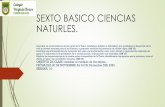SEXTO BASICO CIENCIAS NATURLES. - Cormun