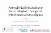 Permeabilidad intestinal como factor patogénico de algunas ...