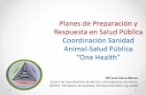Planes de Preparación y Respuesta en Salud Pública ...