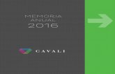 Memoria Anual 2013 - CAVALI
