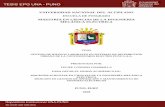 MAESTRÍA EN CIENCIAS DE LA ... - tesis.unap.edu.pe