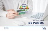 INSTRUCTIVO DE PAGOS - CIES