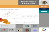 Seguros Centauro Salud Especializada | Seguros Dentales