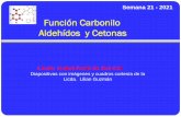 Función Carbonilo Aldehídos y Cetonas