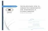 8-6-2018 SEGURIDAD EN EL ABASTECIMIENTO DE ENERGIA A …