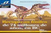Fiesta para paleontólogos Recuperan fósiles de 74 millones ...