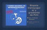 Asociación Española de Hígado y Riñón - AEHR