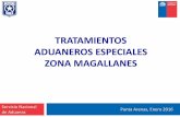 TRATAMIENTOS ADUANEROS ESPECIALES ZONA MAGALLANES