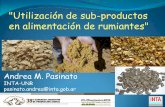 Utilización de sub-productos en alimentación de rumiantes