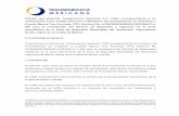 Informe que presenta Transparencia Mexicana A.C. (TM ...
