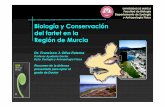 Biología y Conservación del fartet en la Región de Murcia