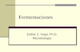 Fermentaciones - microaplicada.files.wordpress.com