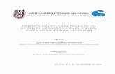 HÁBITATS DE LARVAS DE PECES EN UN DIPOLO ... - tesis.ipn.mx