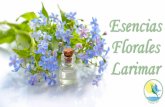 Esencias Florales Larimar