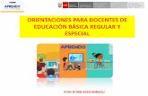 ORIENTACIONES PARA DOCENTES DE EDUCACIÓN BÁSICA REGULAR …