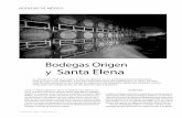 Bodegas Origen Santa Elena