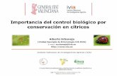 Importancia del control biológico por conservación en cítricos