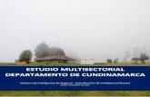 ESTUDIO MULTISECTORIAL DEPARTAMENTO DE CUNDINAMARCA