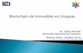 Blockchain de Inmuebles en Uruguay - OAS