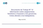 Documento de Trabajo N°12 Información sobre asignaciones ...