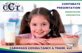 CARIBBEAN CONSULTANCY & TRADE, LLC