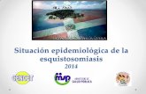 Situación epidemiológica de la esquistosomiasis