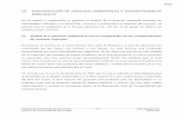 9.0 IDENTIFICACIÓN DE IMPACTOS AMBIENTALES Y …