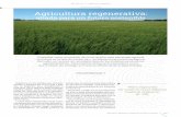 PRODUCCIÓN Agricultura regenerativa