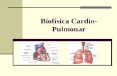 Biofísica Cardio- Pulmonar