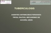 TUBERCULOSIS - CV ULL