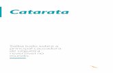 Ebook Catarata - New