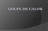 GOLPE DE CALOR - comib.com