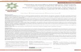 Polianthes venustuliflora (Asparagaceae, Agavoideae), una ...