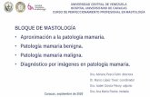 BLOQUE DE MASTOLOGÍA Aproximación a la patología mamaria ...
